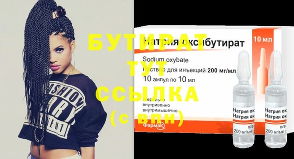 индика Алексин