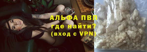 индика Алексин