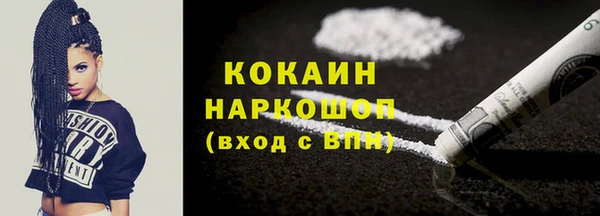 индика Алексин