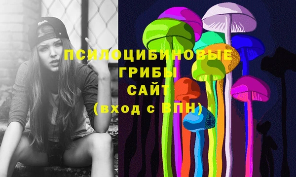 индика Алексин