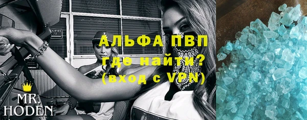 индика Алексин