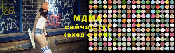 индика Алексин