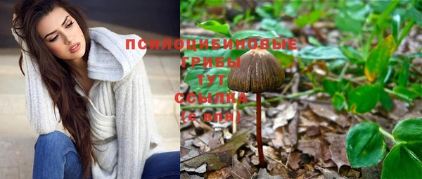 гашик Алзамай