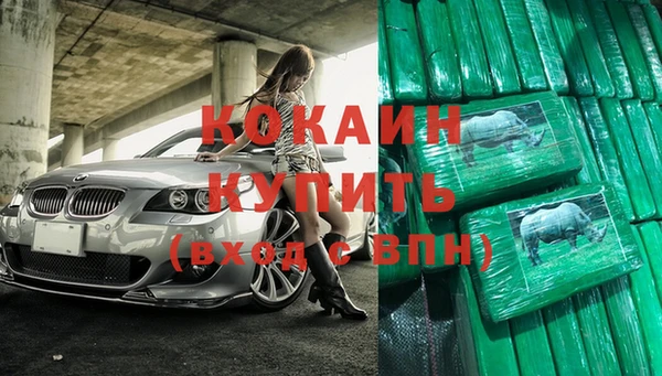 индика Алексин