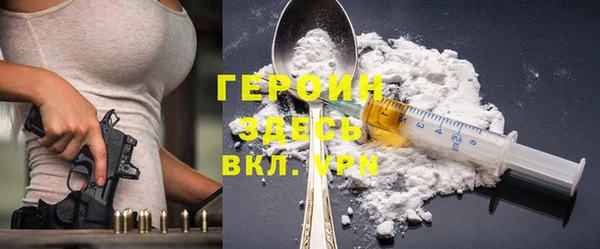 индика Алексин
