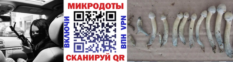 Псилоцибиновые грибы Psilocybine cubensis  даркнет сайт  Кизел 